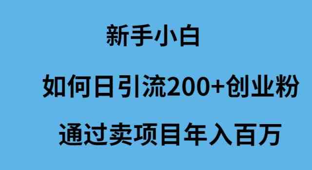 （9668期）新手小白如何日引流200+创业粉通过卖项目年入百万-青崖科技社