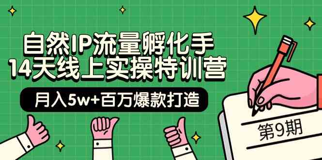 （9881期）自然IP流量孵化手 14天线上实操特训营【第9期】月入5w+百万爆款打造 (74节)-青崖科技社