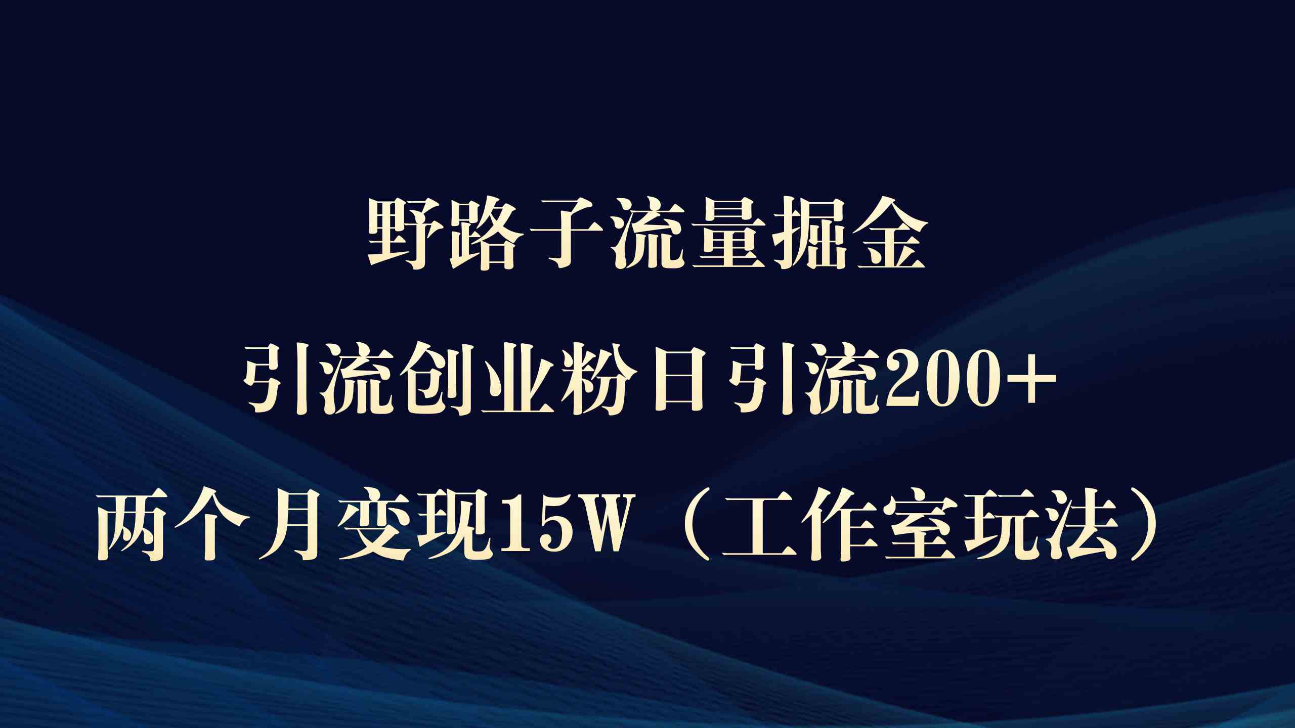 （9513期）野路子流量掘金，引流创业粉日引流200+，两个月变现15W（工作室玩法））-青崖科技社